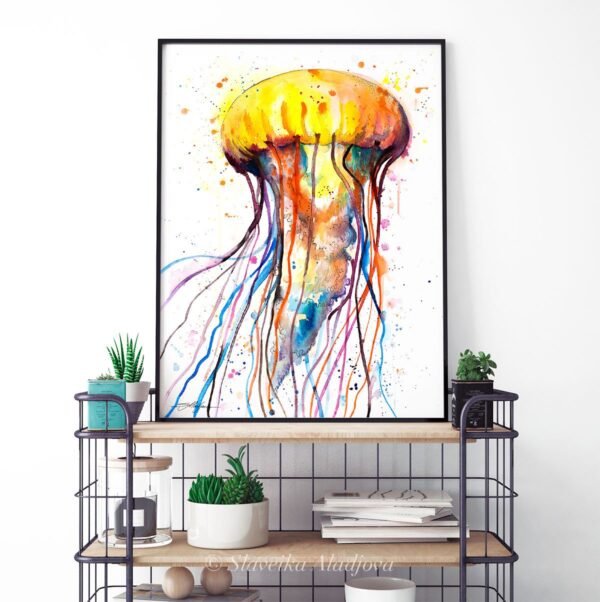 Jellyfish