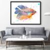 Pearl gourami