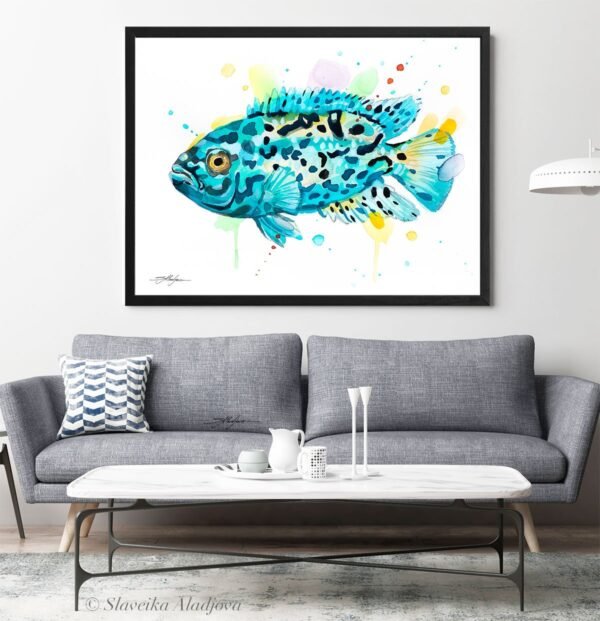 Electric Blue Jack Dempsey Cichlid