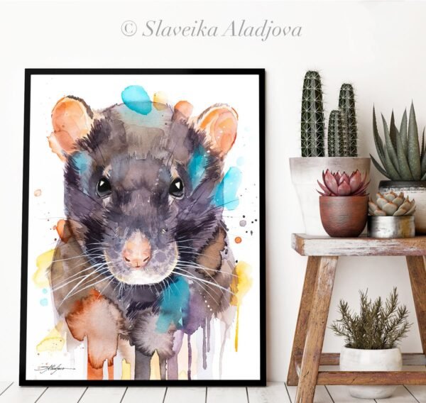 Rat