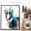 Chamois