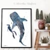 Freediver with Whale Shark Freediver with Whale Shark
