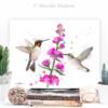 Ruby-Throated Hummingbirds Ruby-Throated Hummingbirds