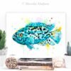 Electric Blue Jack Dempsey Cichlid
