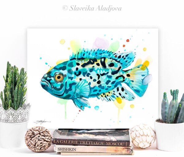 Electric Blue Jack Dempsey Cichlid