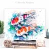 Koi