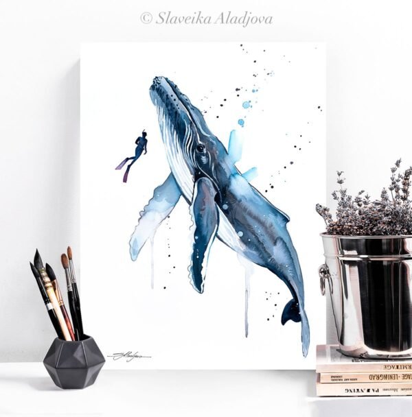 Freediver with Humpback Whale Freediver with Humpback Whale