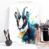 Chamois