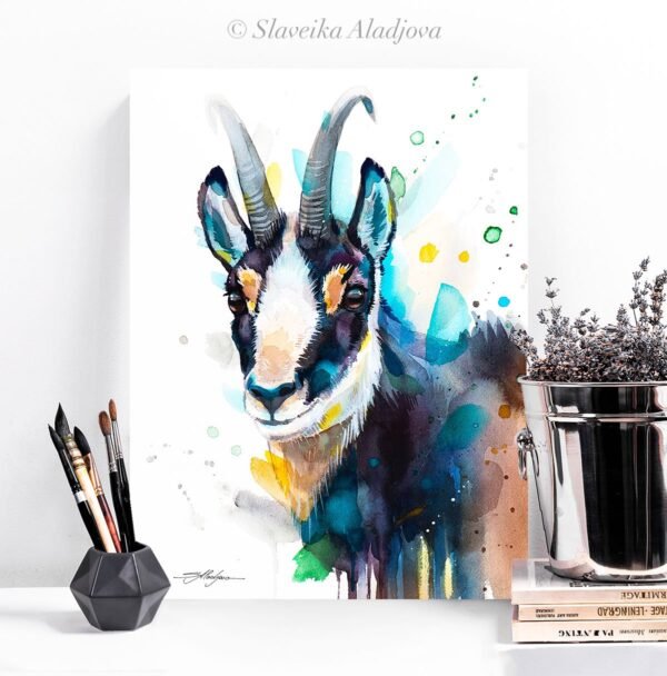 Chamois