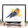 European robin