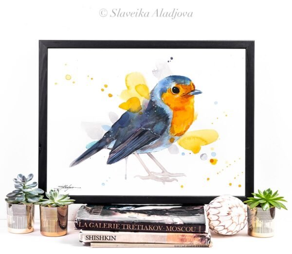 European robin