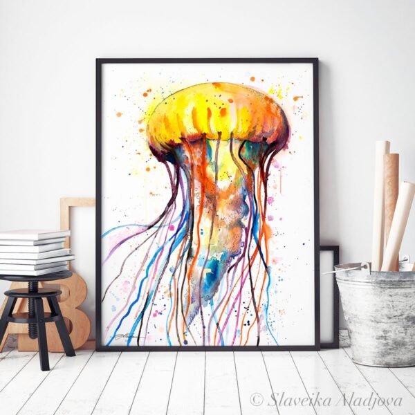Jellyfish