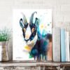 Chamois