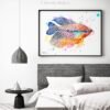 Pearl gourami