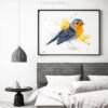 European robin