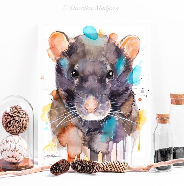 Rat
