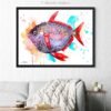 Opah, Moonfish, Sunfish