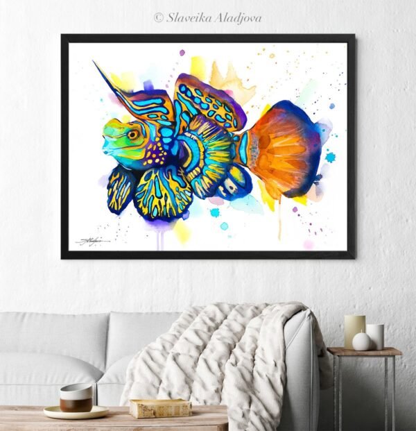 Synchiropus splendidus, Mandarinfish, Mandarin dragonet