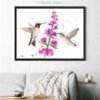 Ruby-Throated Hummingbirds Ruby-Throated Hummingbirds