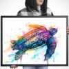 Leatherback sea turtle