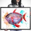 Opah, Moonfish, Sunfish