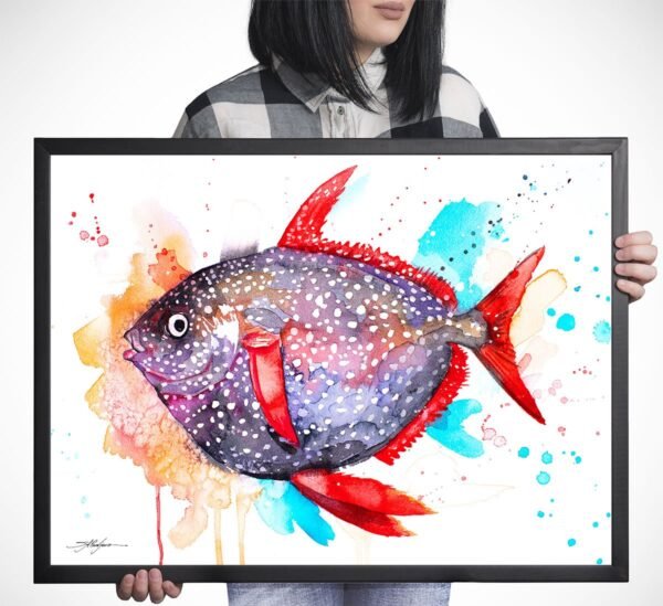 Opah, Moonfish, Sunfish
