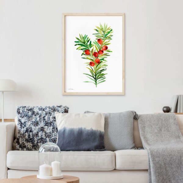 Christmas Yew Christmas Yew