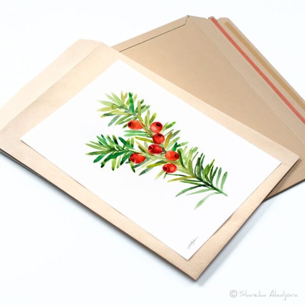 Christmas Yew Christmas Yew