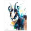 Chamois