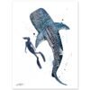 Freediver with Whale Shark Freediver with Whale Shark