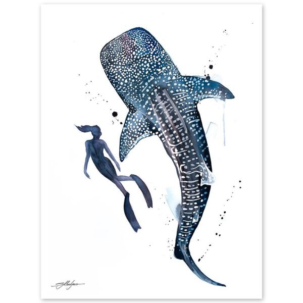 Freediver with Whale Shark Freediver with Whale Shark