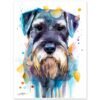 Schnauzer Schnauzer