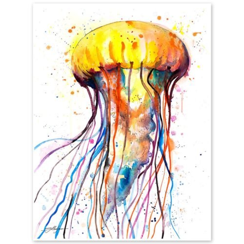 Jellyfish