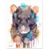Rat