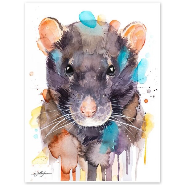Rat