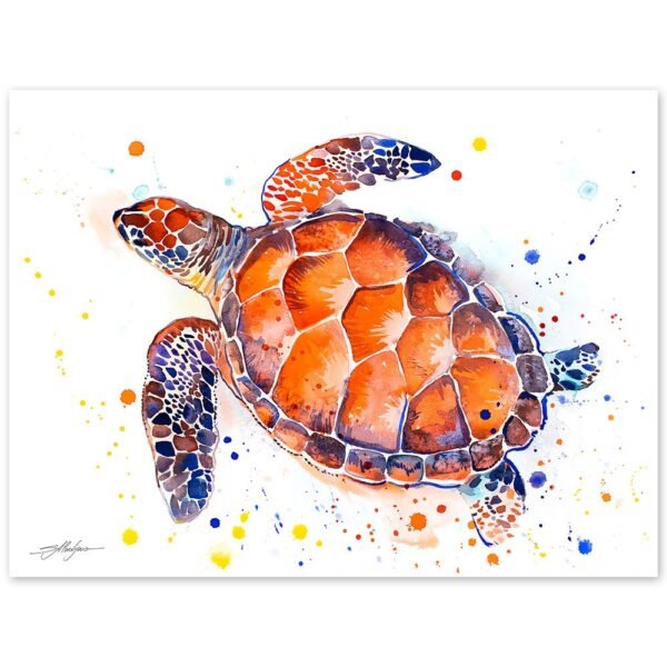 turtle