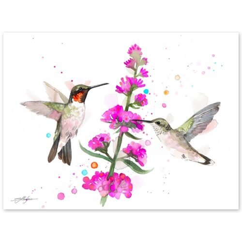Ruby-Throated Hummingbirds
