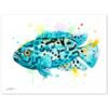 Electric Blue Jack Dempsey Cichlid