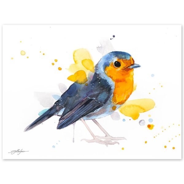 European robin