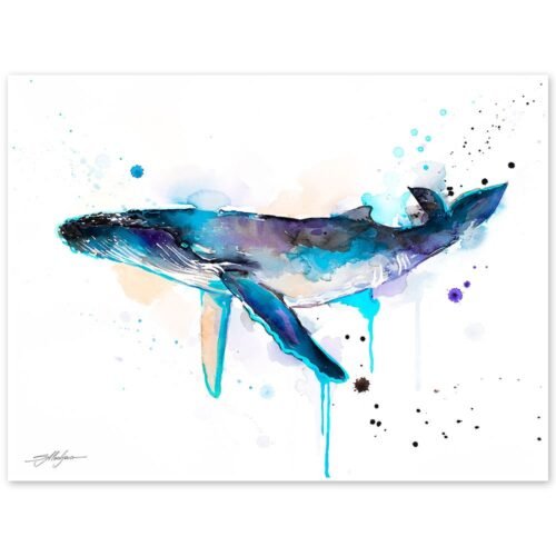Humpback whale