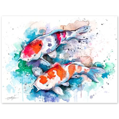 Koi
