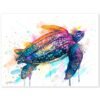 Leatherback sea turtle