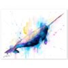 Narwhal