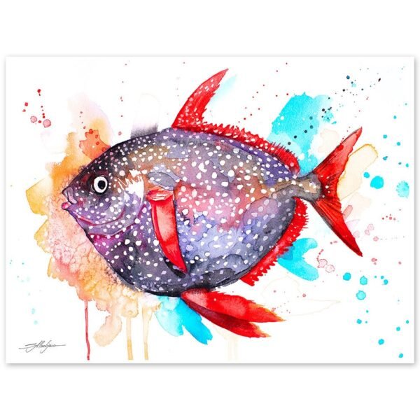 Opah, Moonfish, Sunfish