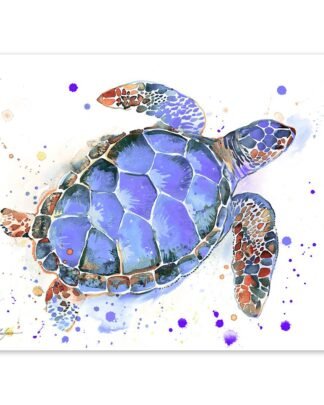 Purple Sea turtle