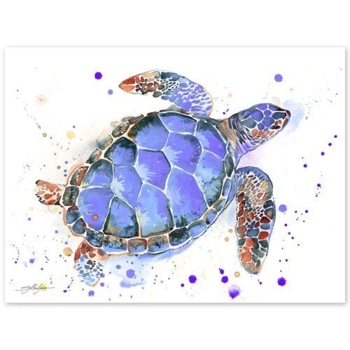 Purple Sea turtle