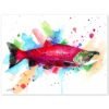 Sockeye salmon