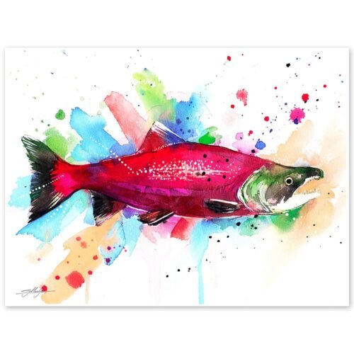 Sockeye salmon