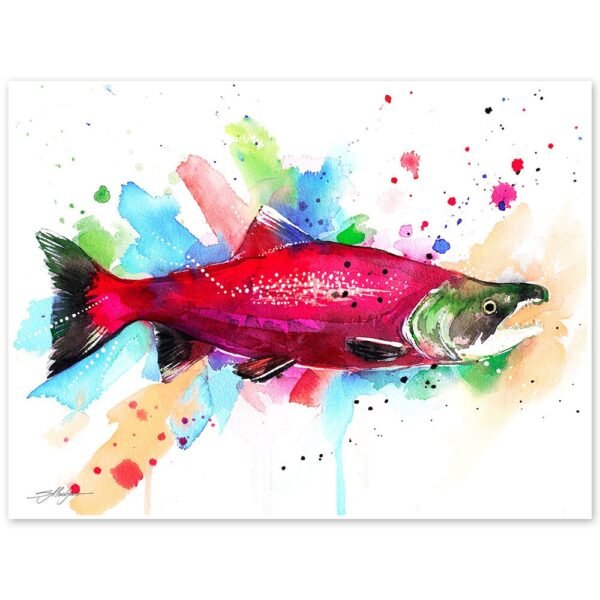 Sockeye salmon