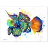 Synchiropus splendidus, Mandarinfish, Mandarin dragonet
